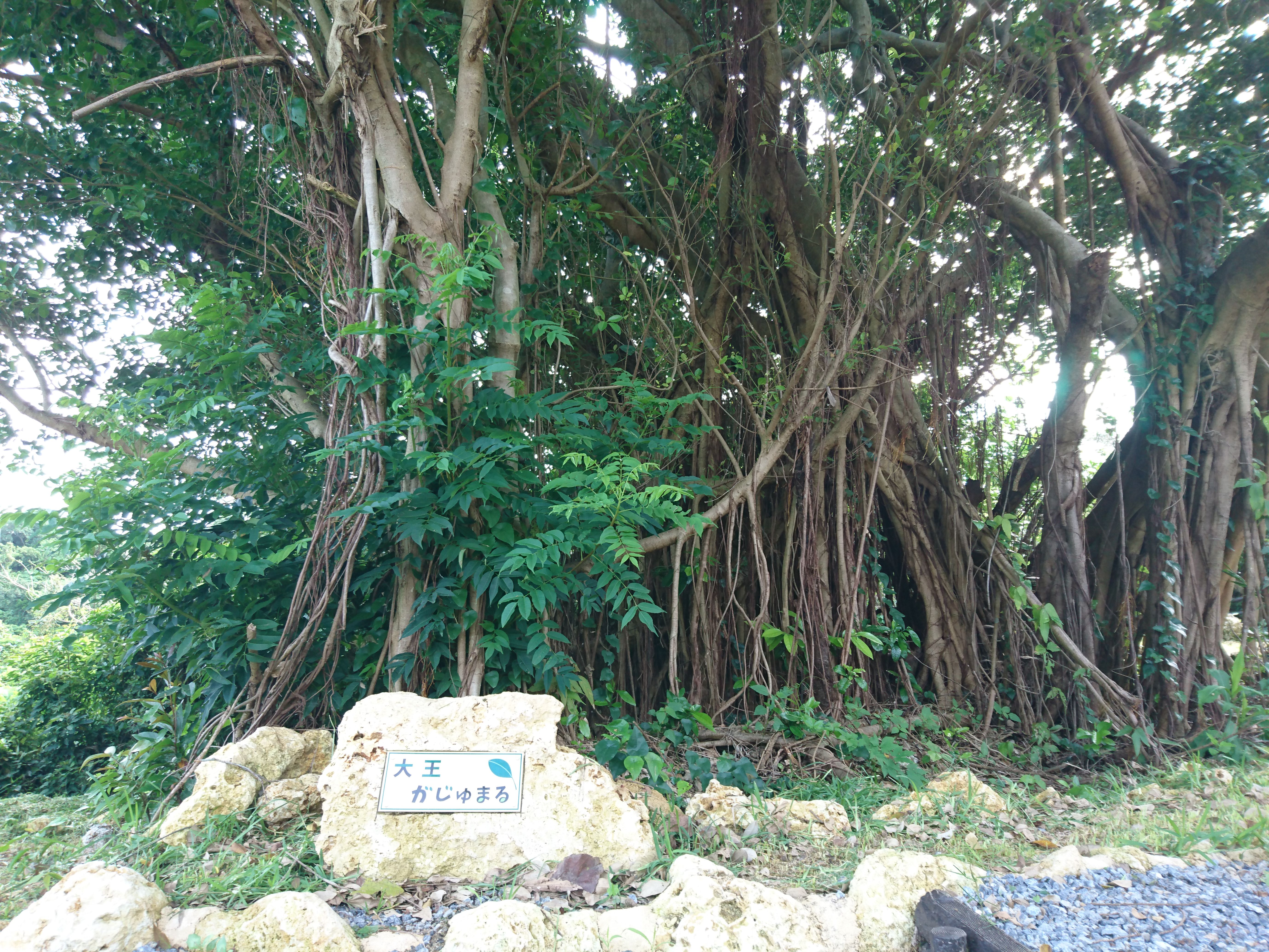 沖縄県八重瀬町具志頭の写真 １枚目