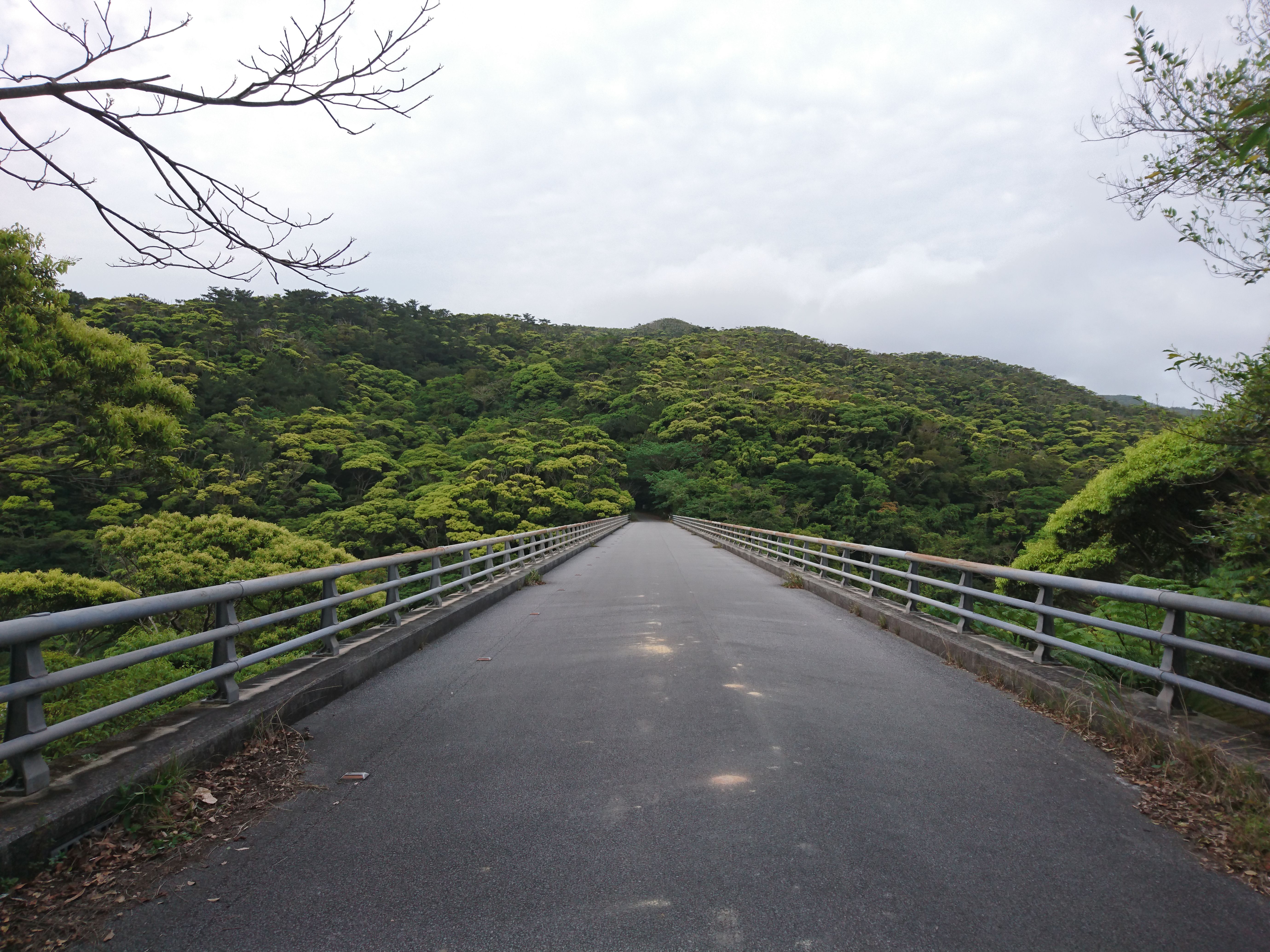 沖縄県大宜味村大宜味の写真 １枚目